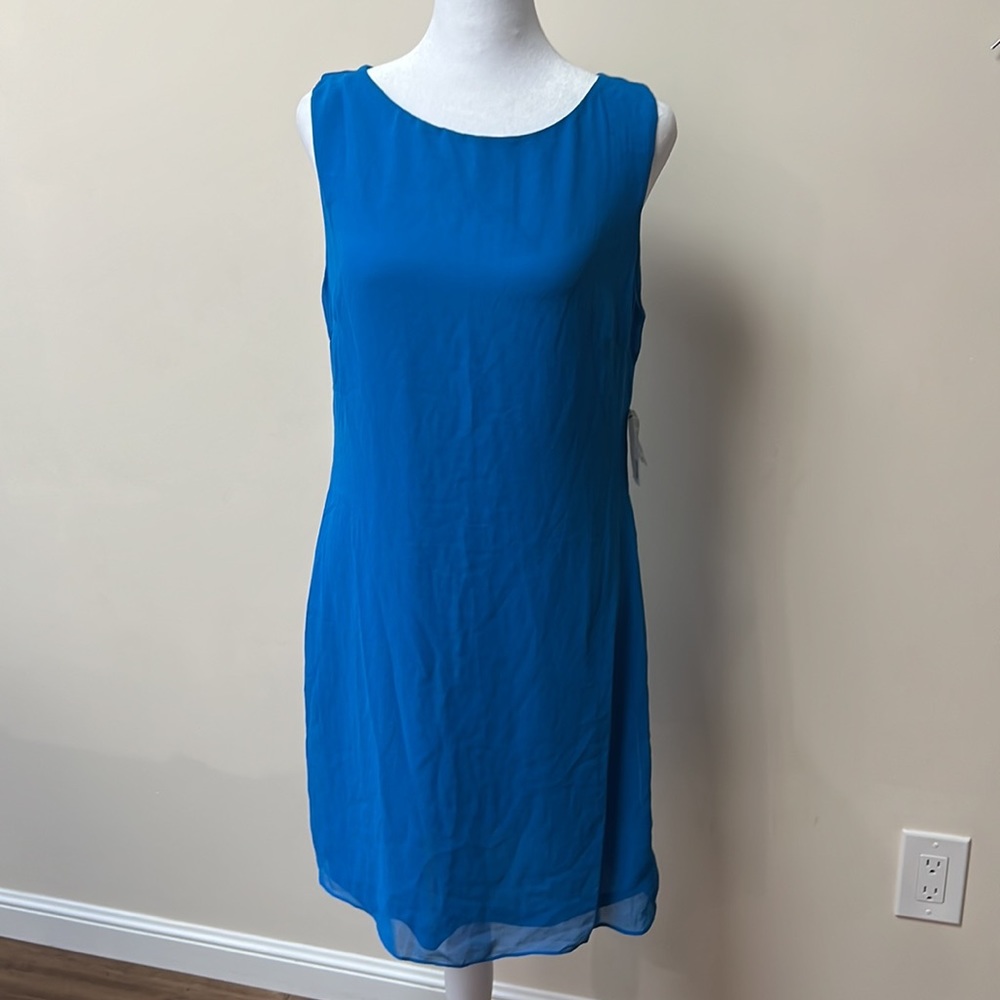 Sheer dress with back opening